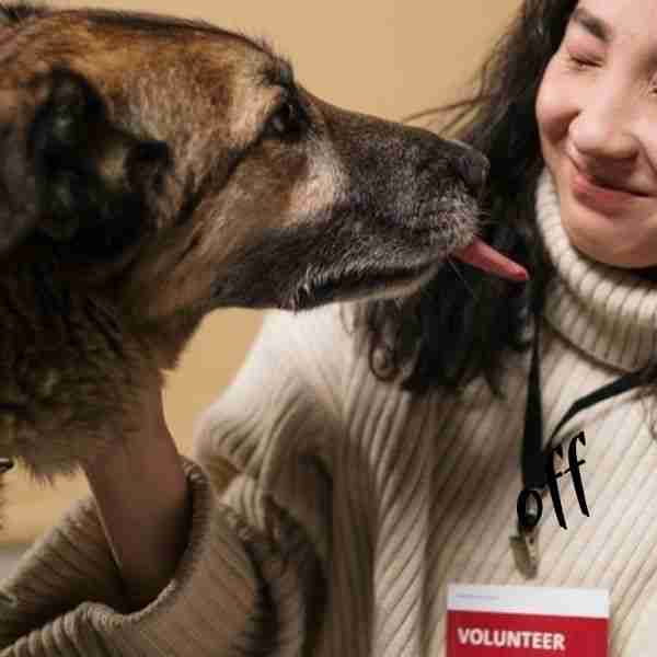 volunteer woman with dog to bring about positive change