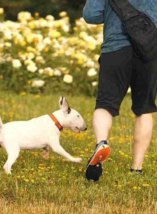how_nature_walks_make_you_smarter_no_text_frame