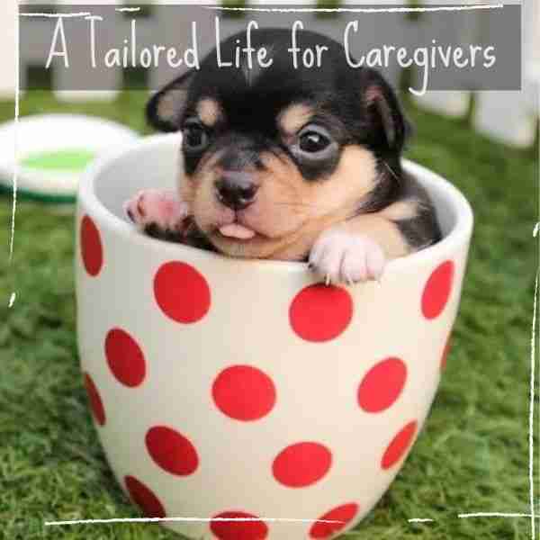 puppy in a teacup showing pets are good for your health